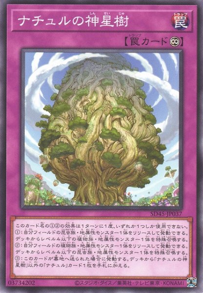 画像1: 【遊戯】ナチュルの神星樹【ノーマル/罠】SD45-JP037 (1)