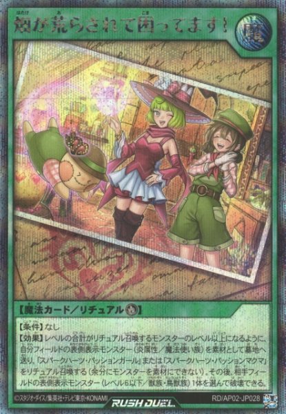 画像1: 【遊戯RD】畑が荒らされて困ってます！【シークレット/魔法】RD/AP02-JP028 (1)