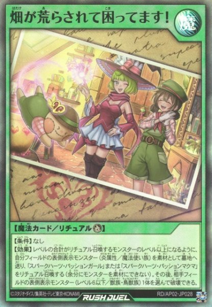 画像1: 【遊戯RD】畑が荒らされて困ってます！【スーパー/魔法】RD/AP02-JP028 (1)