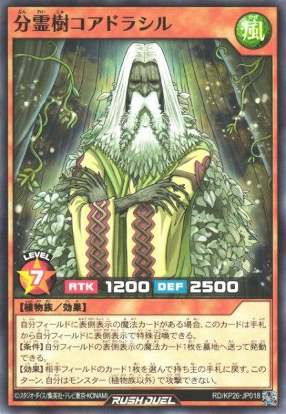 画像1: 【遊戯RD】分霊樹コアドラシル【ノーマル/効果】RD/KP26-JP018 (1)