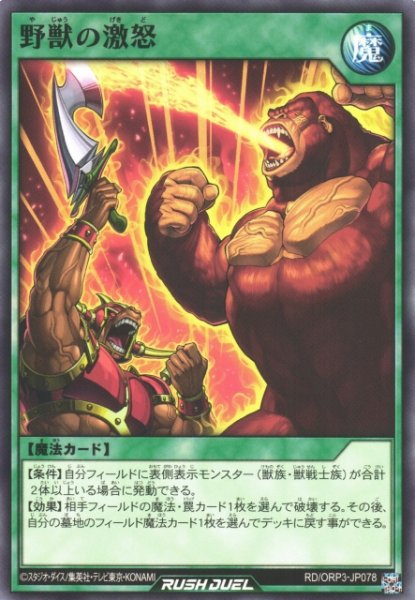 画像1: 【遊戯RD】野獣の激怒【ノーマル/魔法】RD/ORP3-JP078 (1)