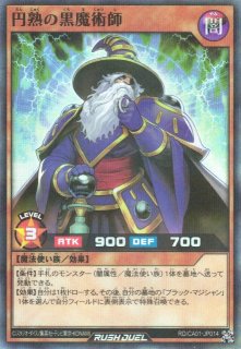 遊戯RD】ハーピィの羽根帚【スーパーパラレル/魔法】RD/CA01-JP082 - C
