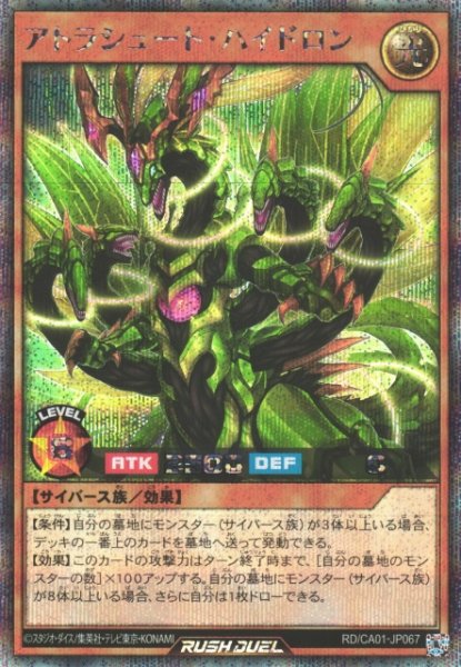 画像1: 【遊戯RD】アトラシュート・ハイドロン【シークレット/効果】RD/CA01-JP067 (1)