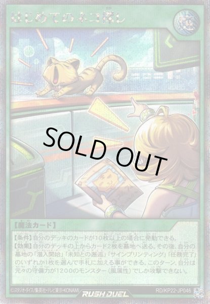 画像1: 【遊戯RD】はじめてのネコ探し【シークレット/魔法】RD/KP22-JP046 (1)