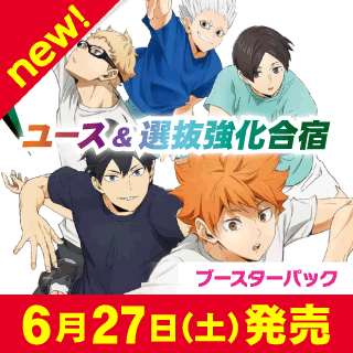 ハイキュー!!バボカ!!BREAK通販ならカードラボ