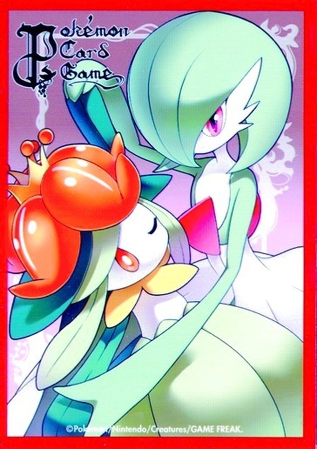 外装キズ/特価品》【ポケカサプライ】[スリーブ] デッキシールド
